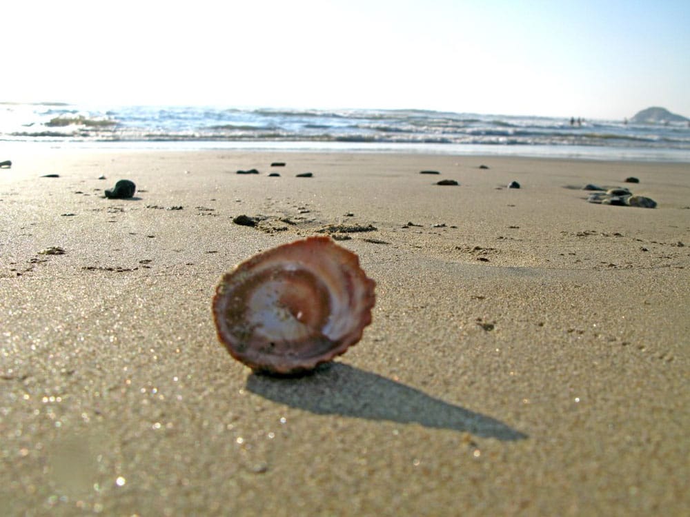 Con la bici en la mochila