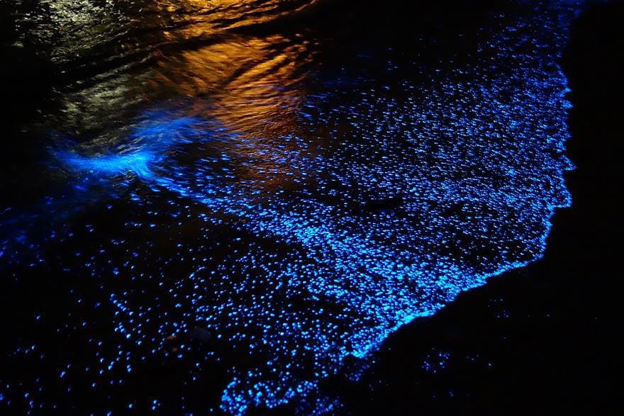 Chacahua y sus olas bioluminiscentes