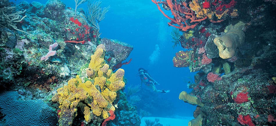 Los 10 mejores desayunos de hotel