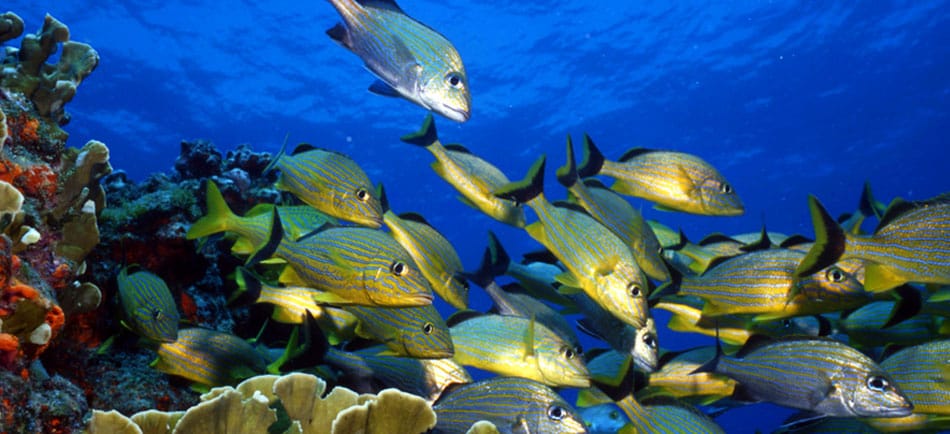 10 curiosos hoteles que seguro te encantaría visitar