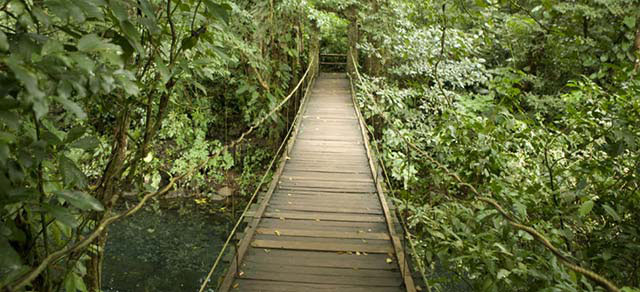 El apartamento de playa de tus sueños es éste: incluye habitación bajo el mar
