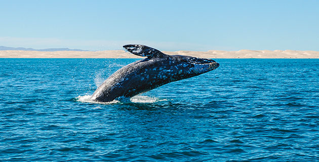 Cuatro cosas que deberías tener en cuenta antes de ser blogger de viajes