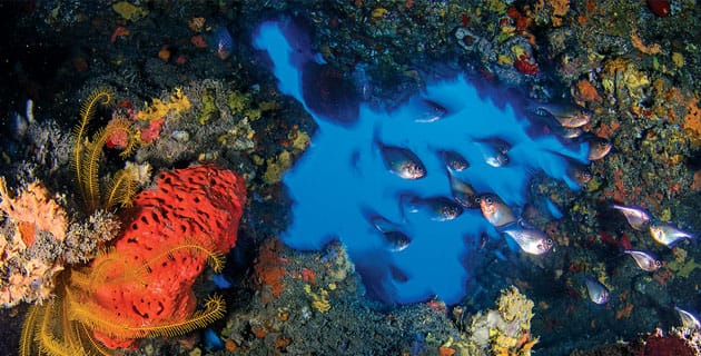 ¡Haz un viaje memorable!