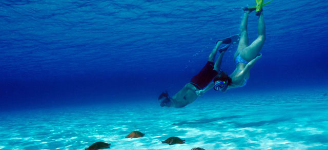 Manual del perfecto playero