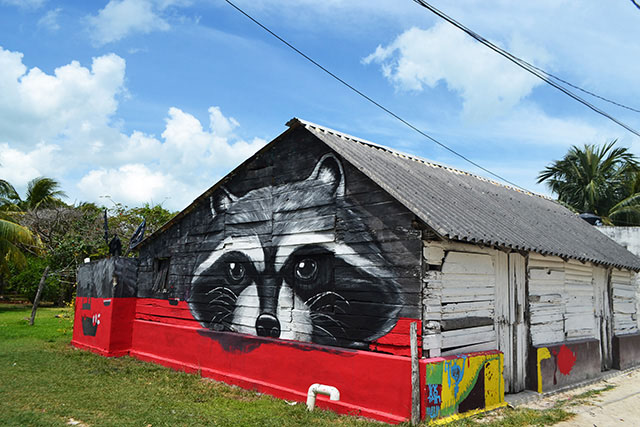 Fiesta de color en Holbox 1 Fiesta de color en Holbox