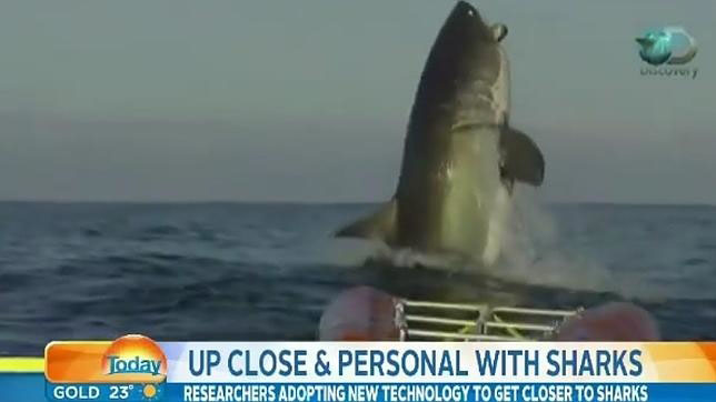 La increíble cara de estupefacción de un presentador al ver el salto de un tiburón