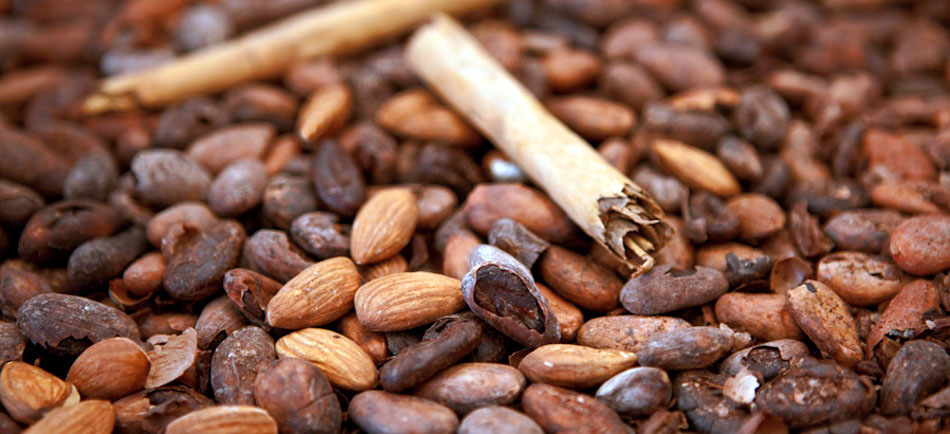 Puerto Escondido: con aroma de café 1 Puerto Escondido: con aroma de café