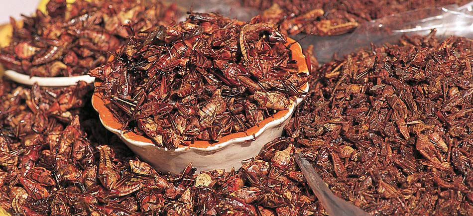 Huatulco y sus delicias 1 Huatulco y sus delicias