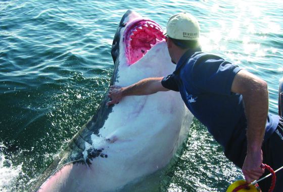 Diez viajes muy raros que no te puedes perder 1 Diez viajes muy raros que no te puedes perder