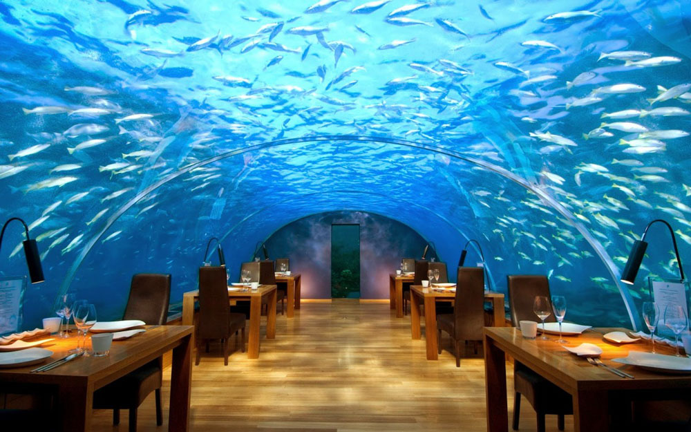 Increíble restaurante submarino en las profundidades del Mar Rojo