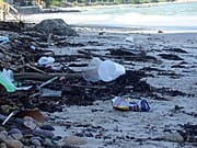 ¡Nayarit y Puerto Vallarta se comprometen con las playas limpias! 1 ¡Nayarit y Puerto Vallarta se comprometen con las playas limpias!