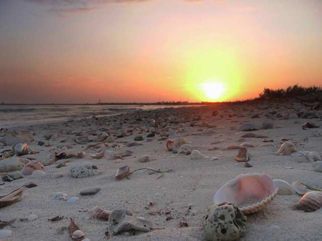 Telchac Puerto 8 Telchac Puerto