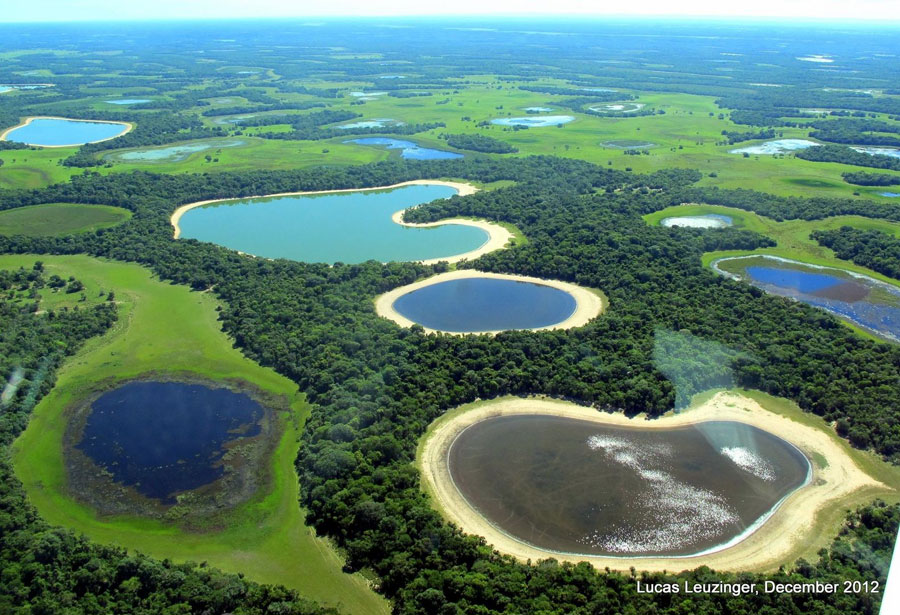 El Gran Pantanal de Brasil