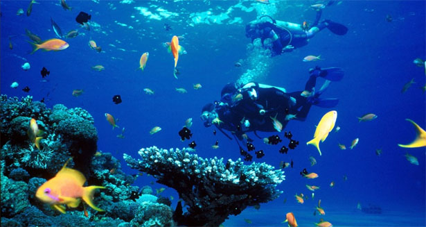 En el azul profundo y m&aacute;s all&aacute;