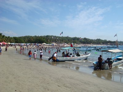Nadar con tiburones ballena