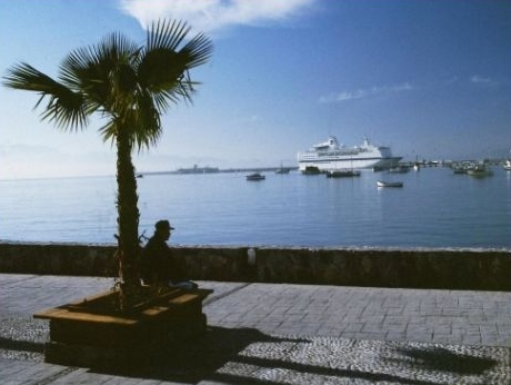 La pesca deportiva 1 La pesca deportiva