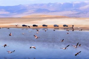 Atreviéndose a Innovar: JETOUR Será la Primera Marca de Automóviles en Recorrer la Carretera Panamericana