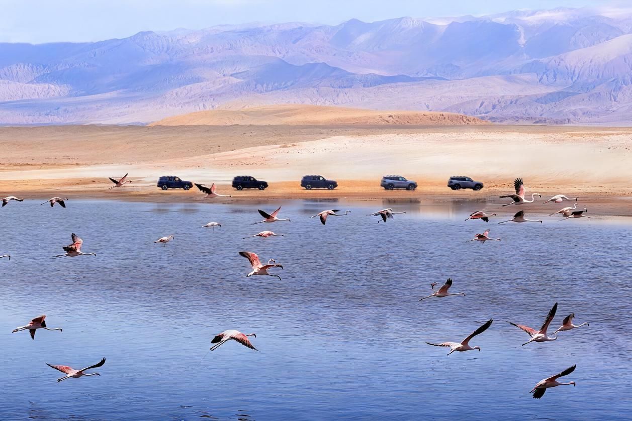 Atreviéndose a Innovar: JETOUR Será la Primera Marca de Automóviles en Recorrer la Carretera Panamericana